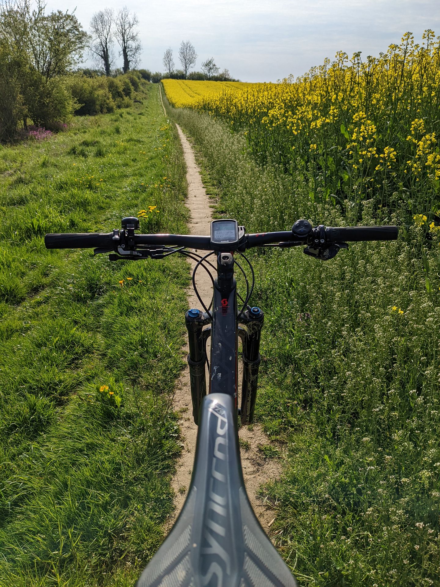 im Moment ist der Raps in voller Blüte