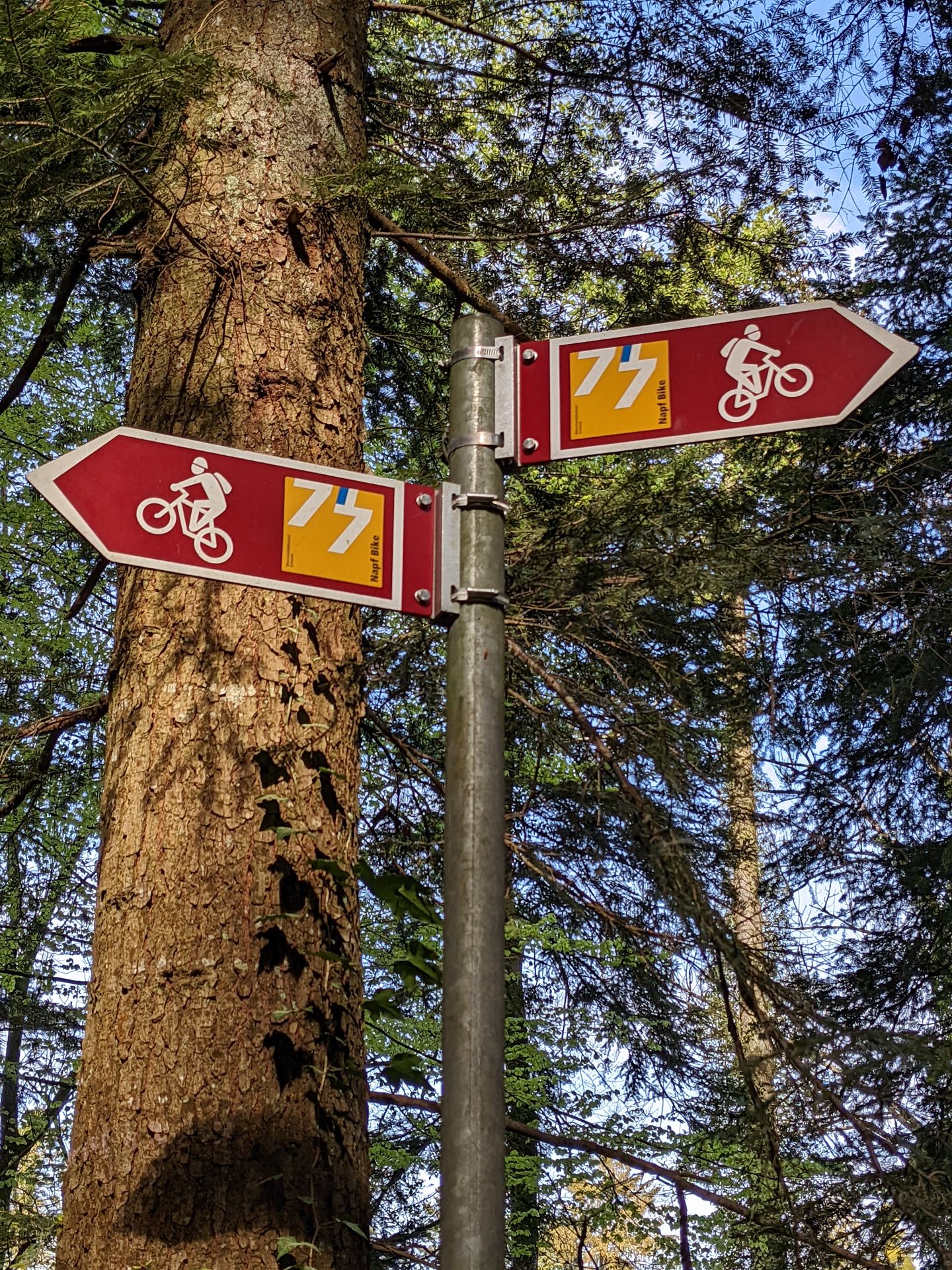 Mountainbike Route 77