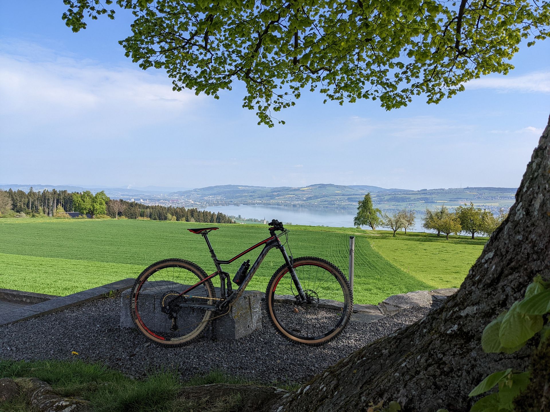 Blick auf den Sempachersee