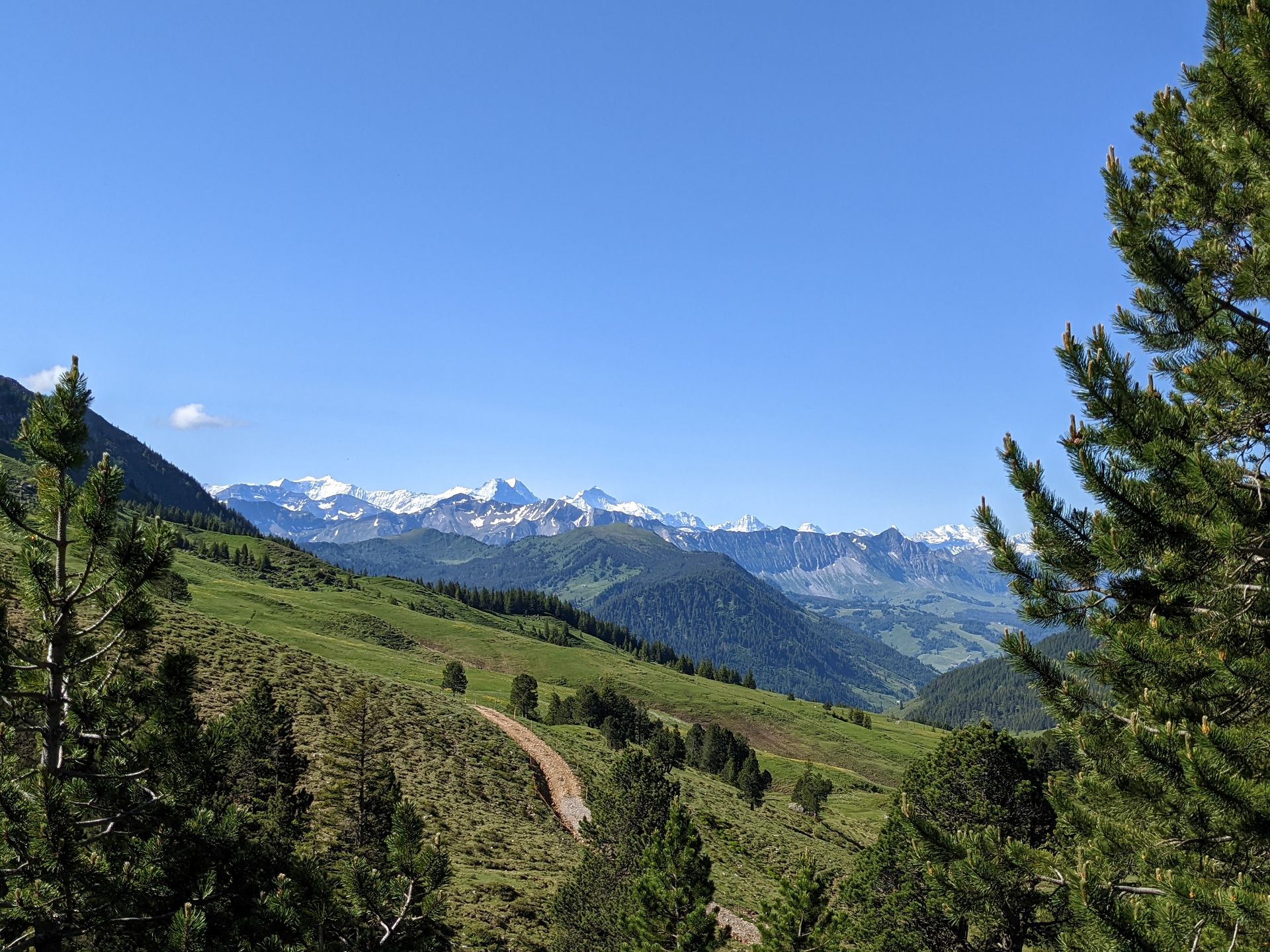 das Berner Dreigestirn "Eiger - Mönch - Jungfrau"
