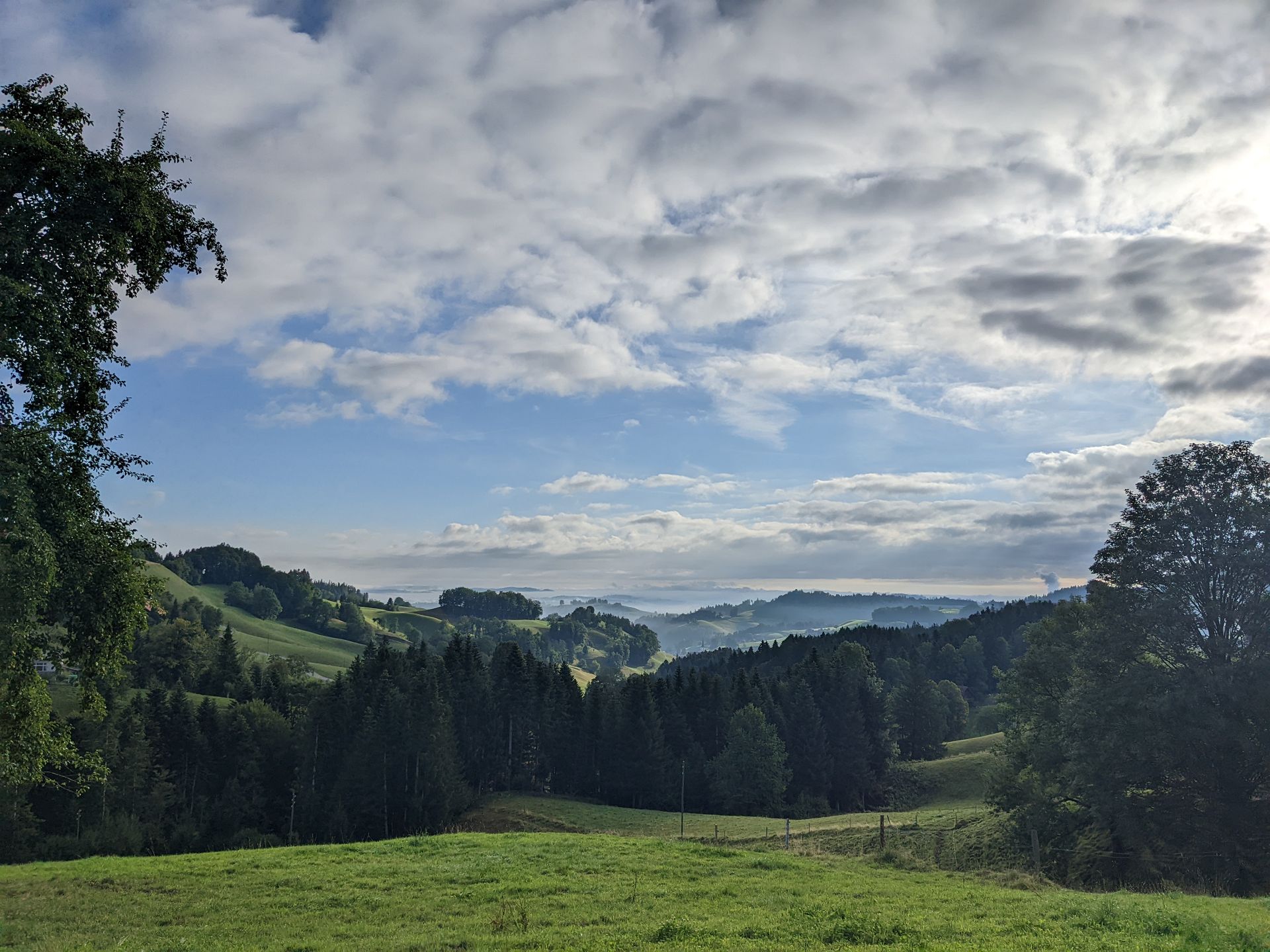 Nebelschwaden ziehen durchs Land