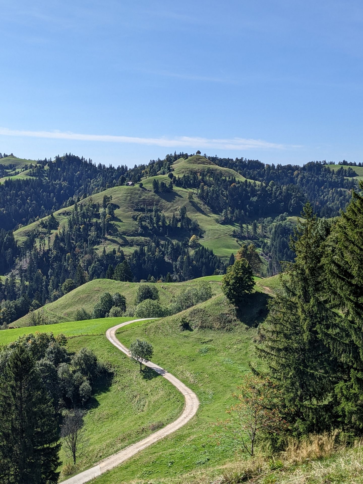 Emmentalerhöger