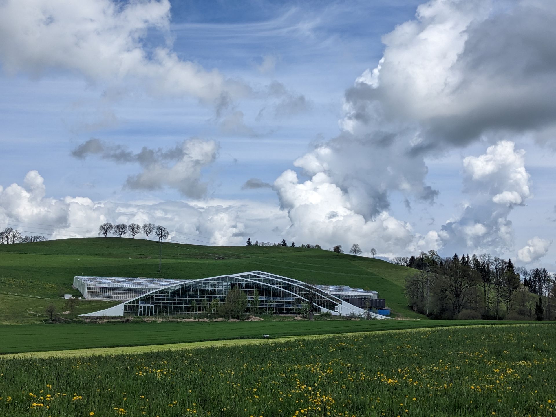 Tropenhaus Wolhusen