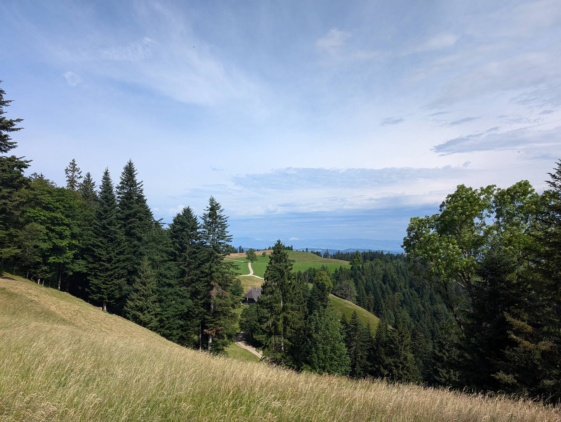 Blick zum Kipferweidli