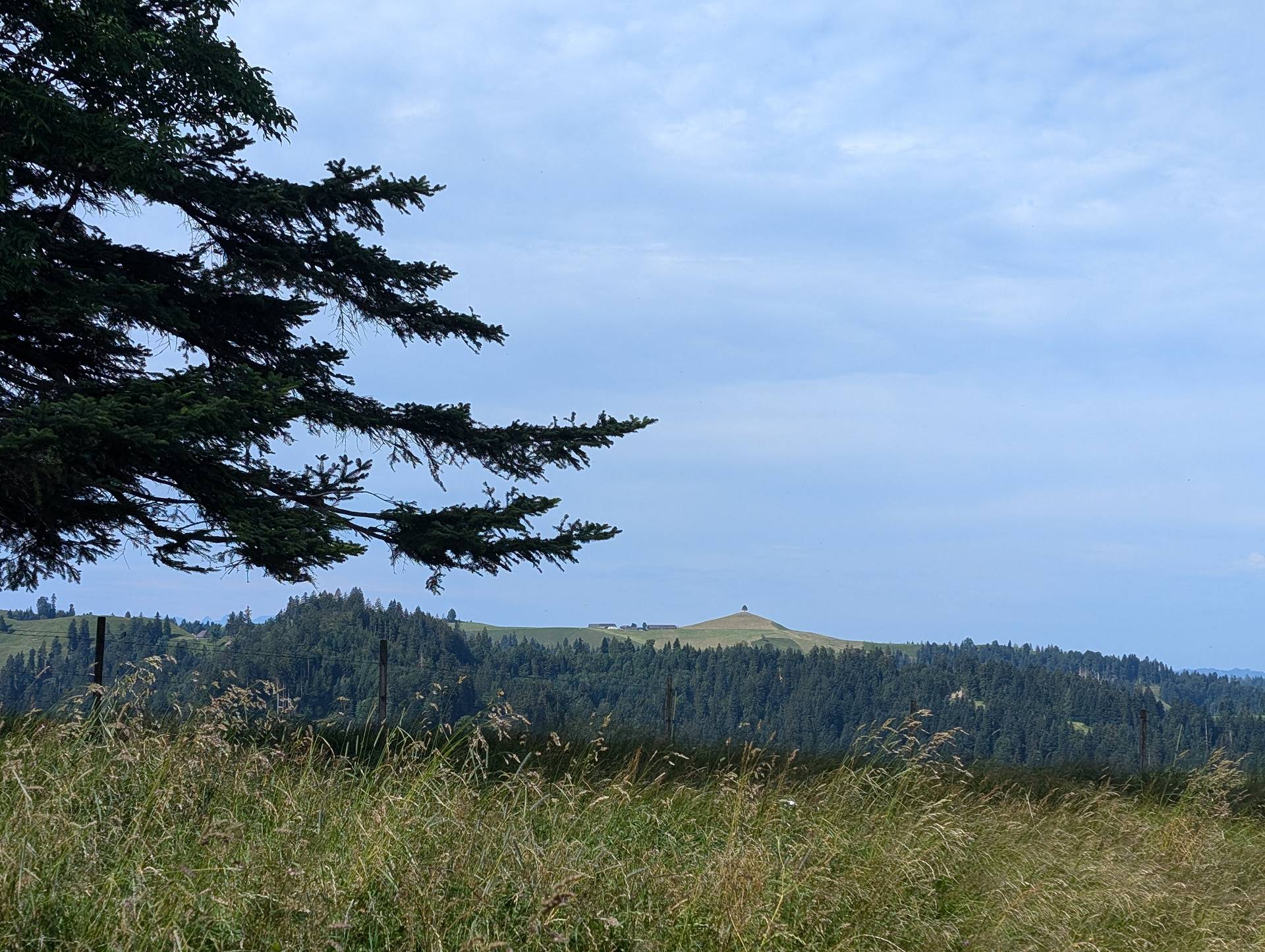 Blick Richtung Vorderarni