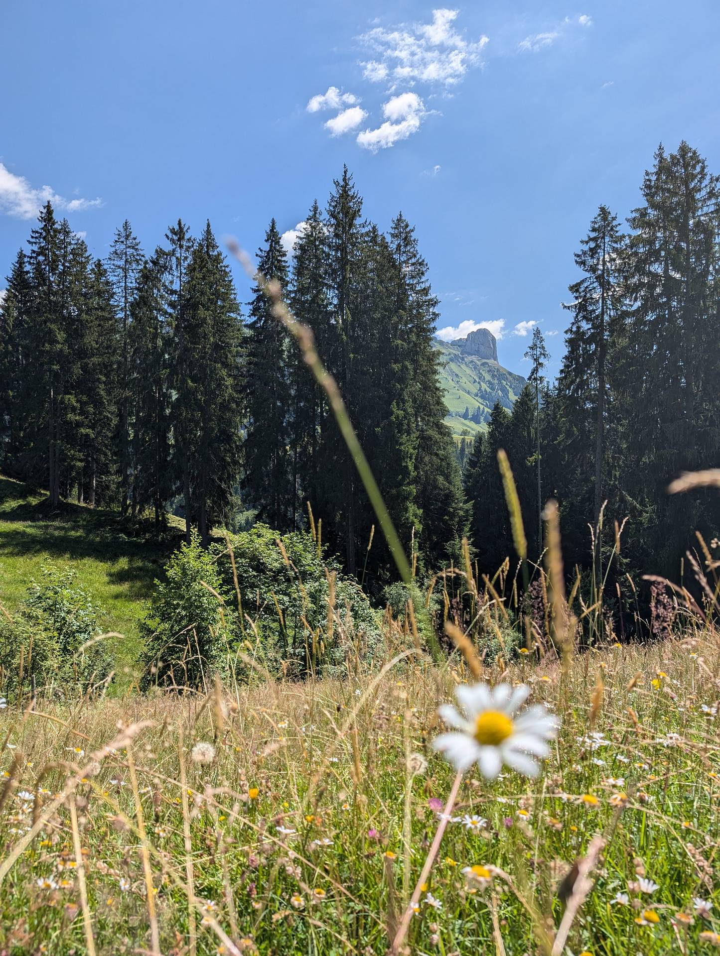 Blick zum Schiebegütsch