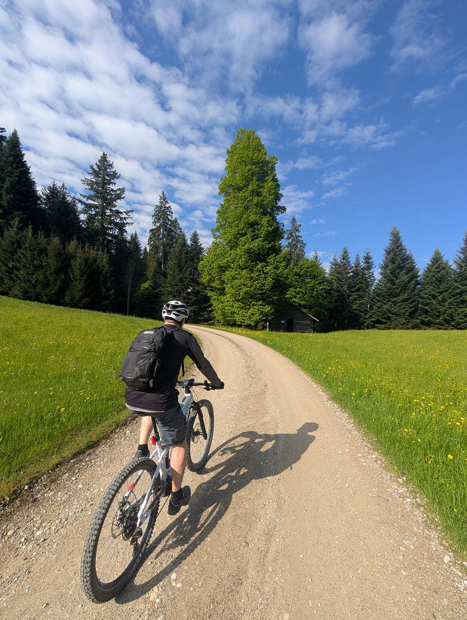 hallo Frühling