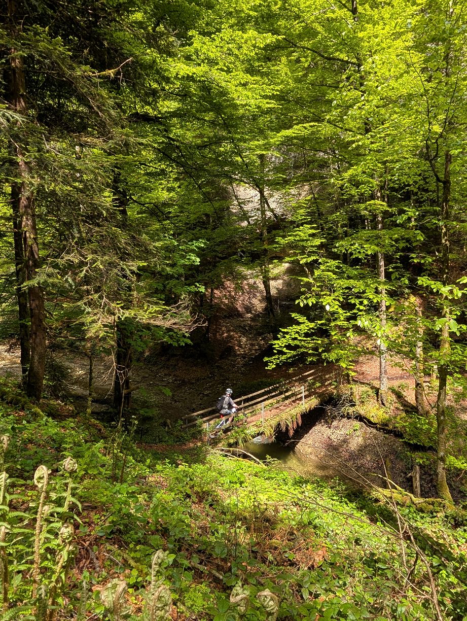 Goldbach