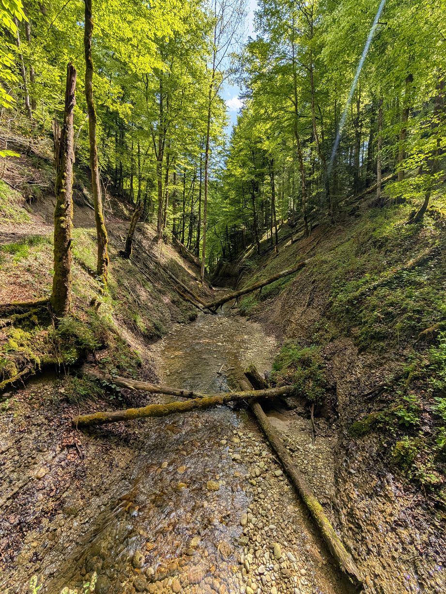 Goldbach