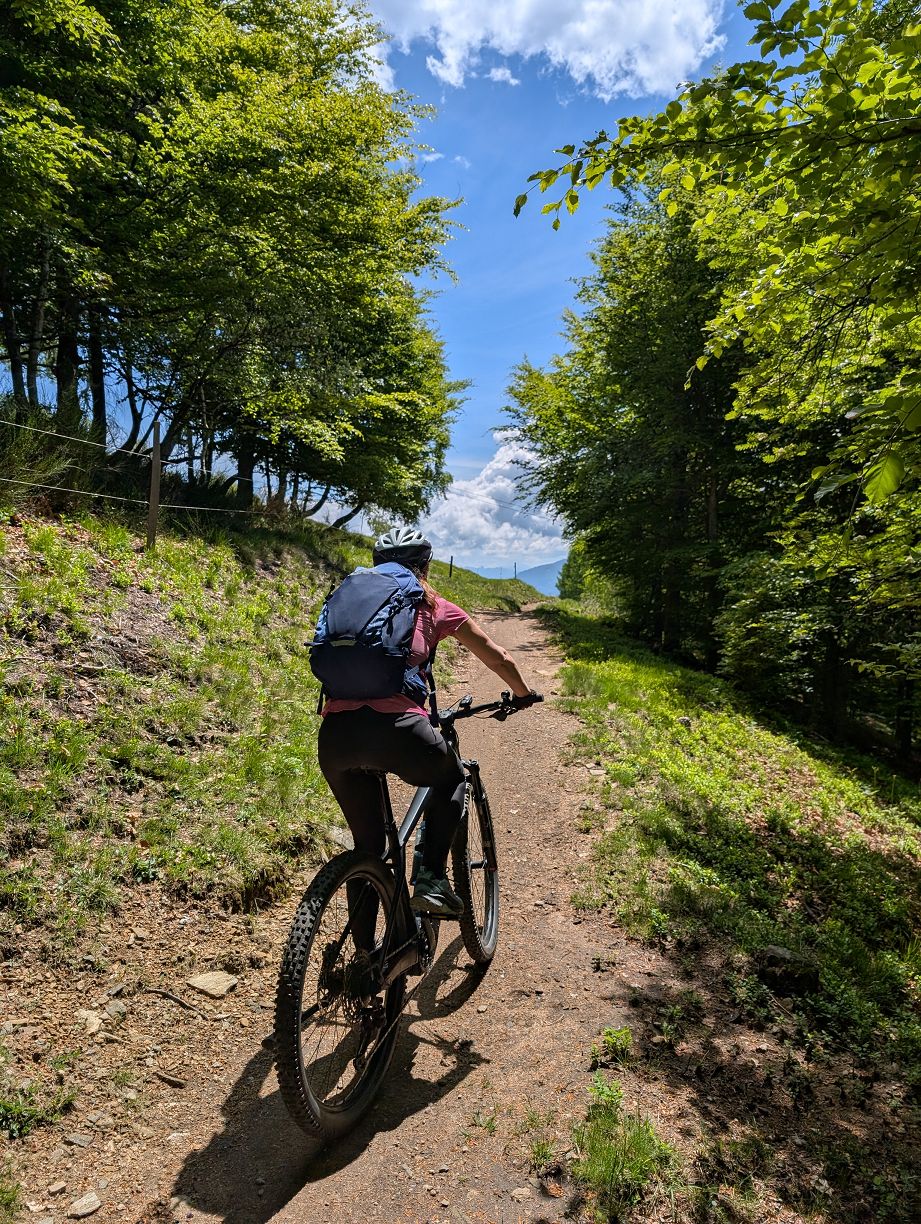 kurz vor der Alp Cardada
