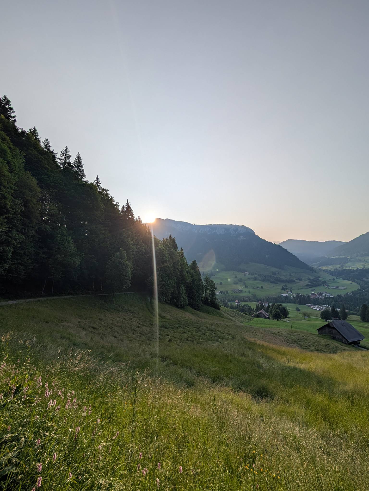 die ersten warmen Sonnenstrahlen