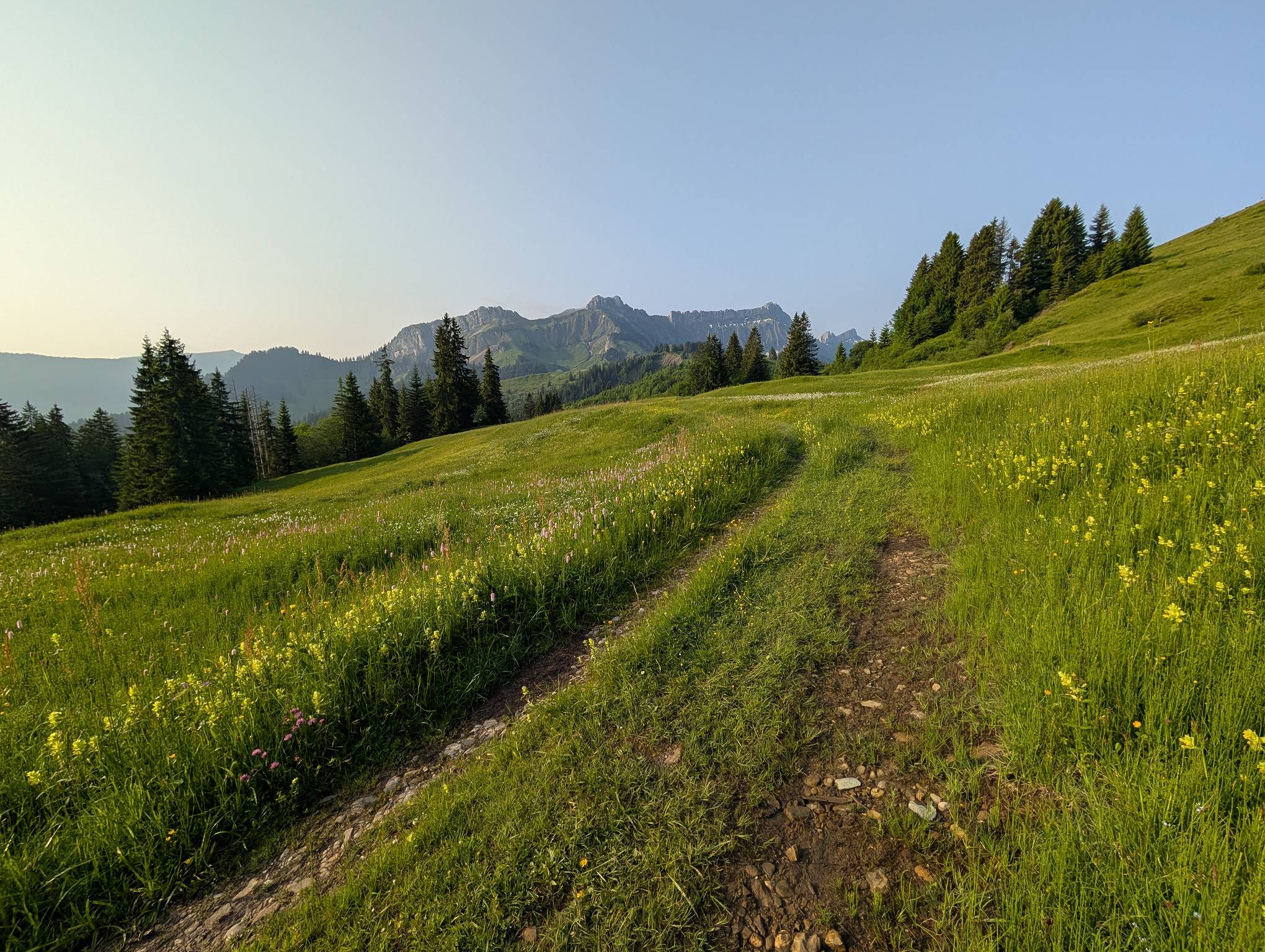 Hilferepass