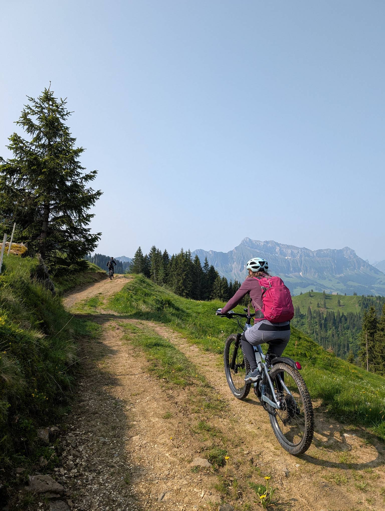 Brigitte vor dem Hohgant