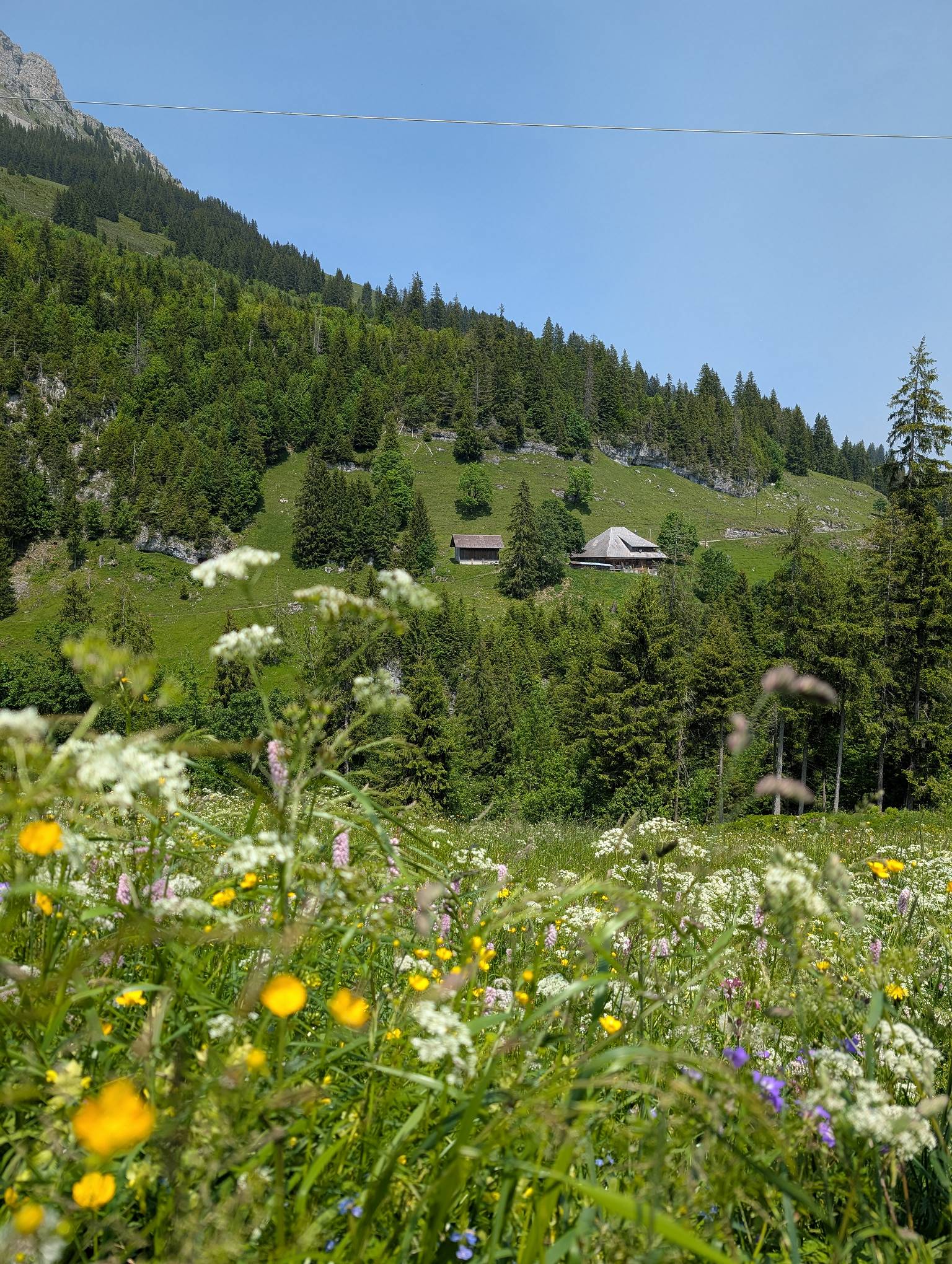auf dem Weg Richtung Salwideli