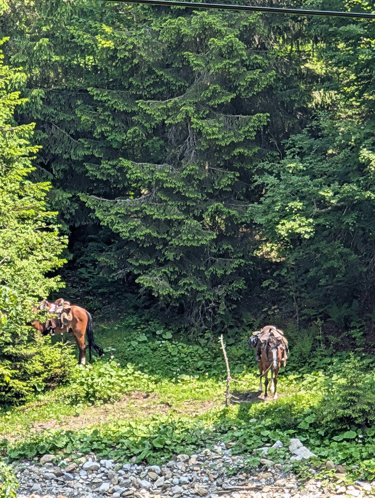 wie im wilden Westen